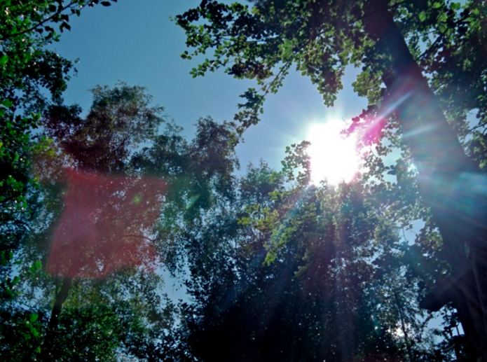 Cameras and carabiners: Escaping London to the forest.