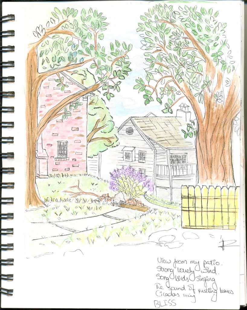 Summer's Sketchbook: The inaugural edition.