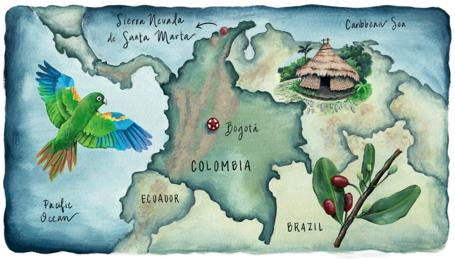 Illustrated maps of Colombia for LACMA Candace Rose Rardon